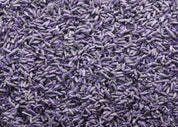Dried Lavender Buds