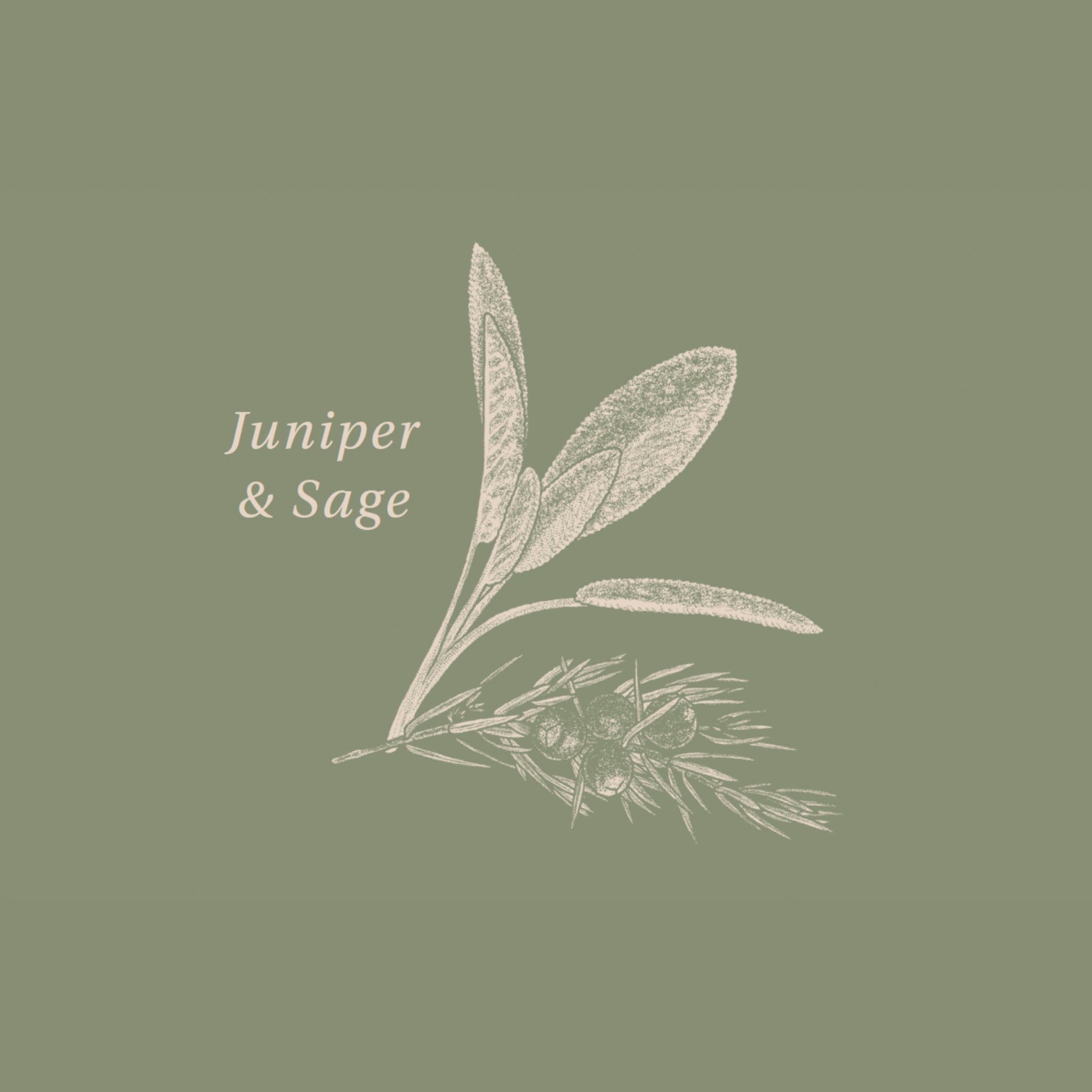 Scent Feature: Juniper & Sage