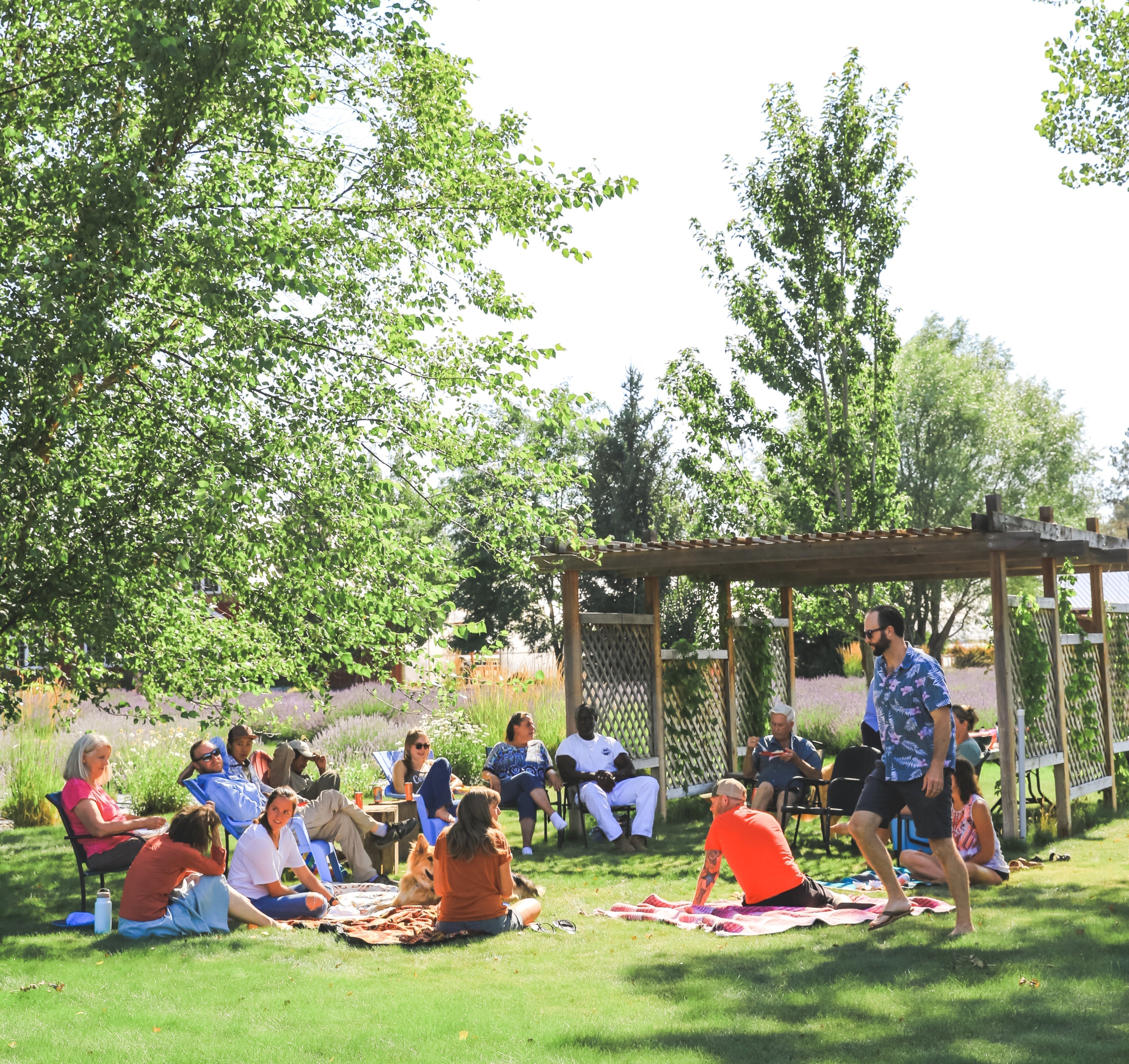 Host Your Group Tour in Central Oregon at Tumalo Lavender