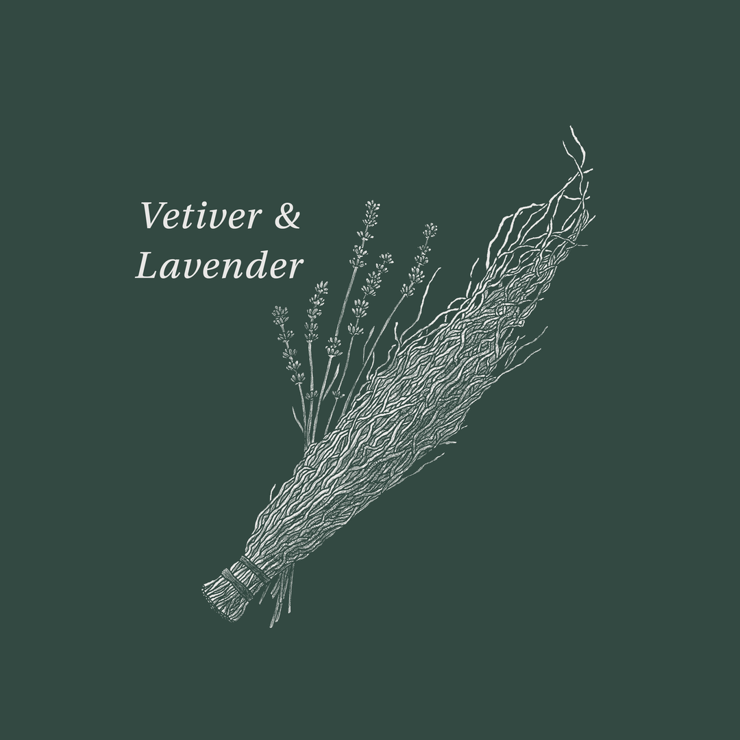 Scent Feature: Vetiver & Lavender