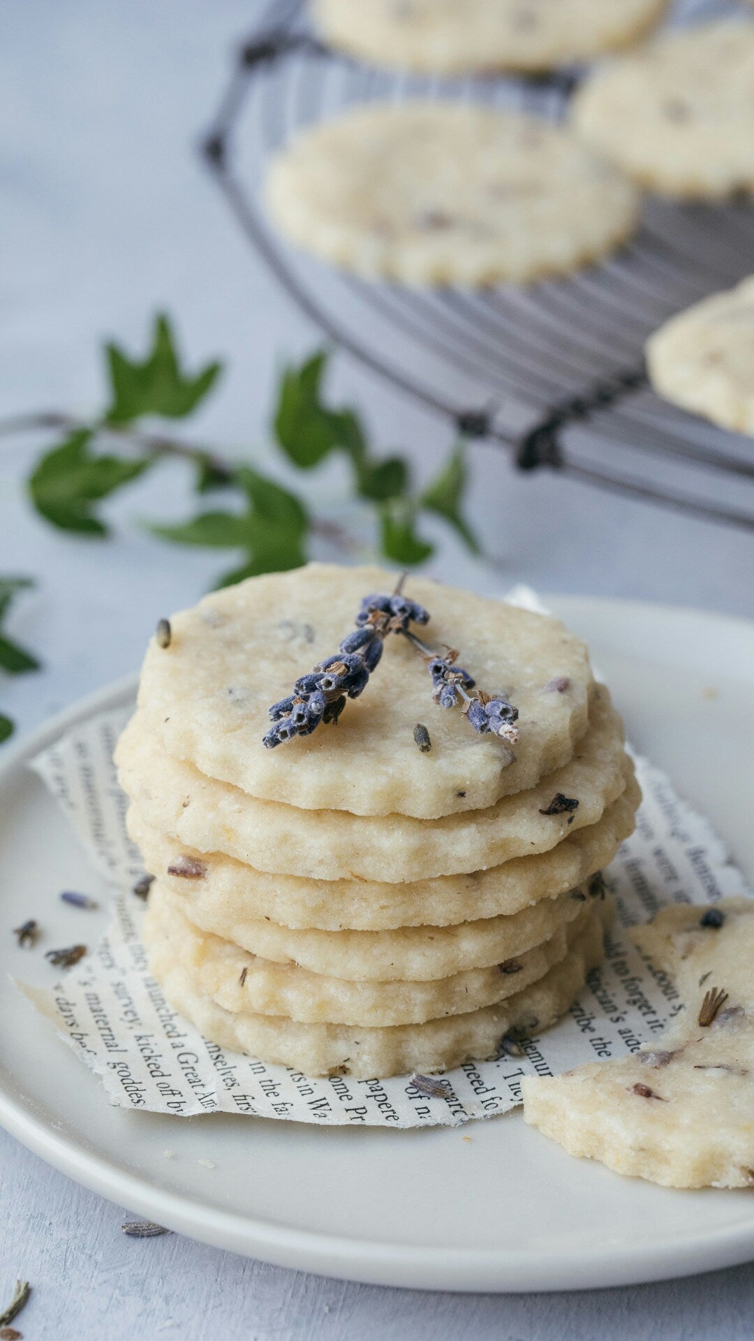 Lavender Shortbread Cookies