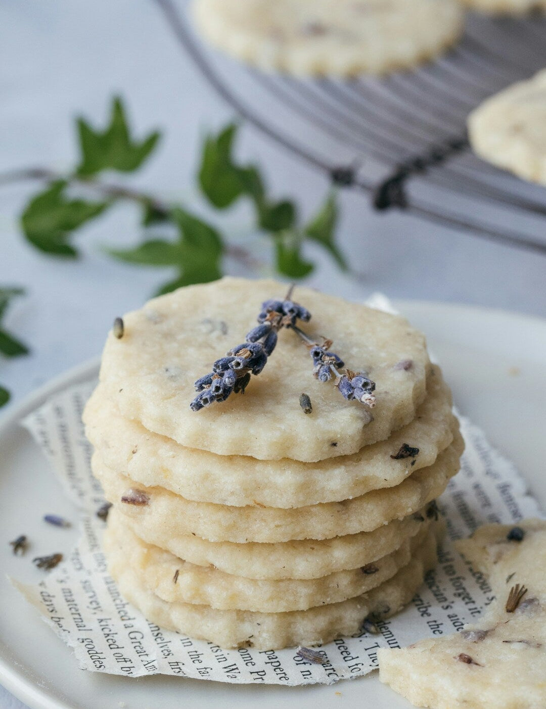 Lavender Shortbread Cookies