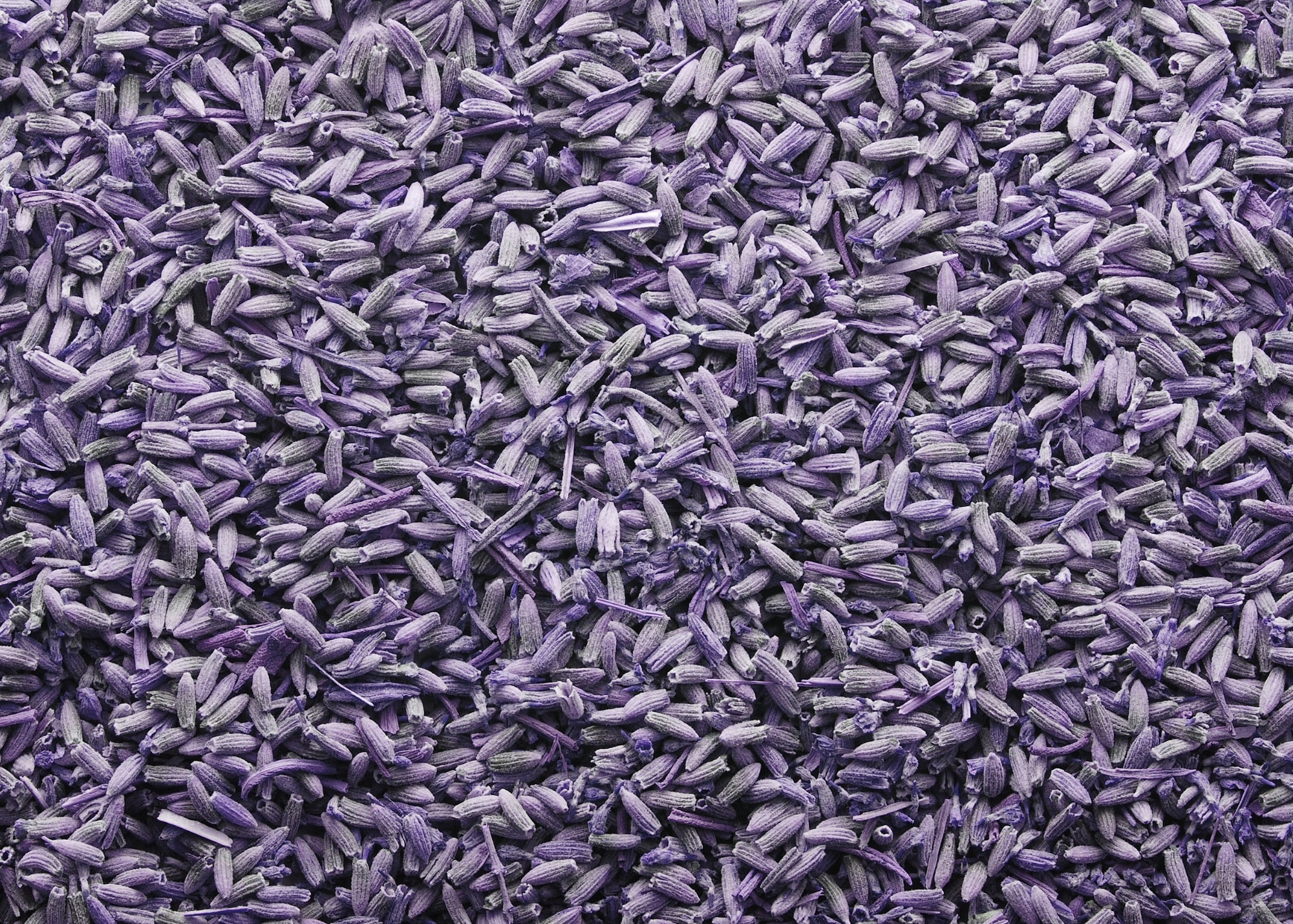 Dried Lavender Buds