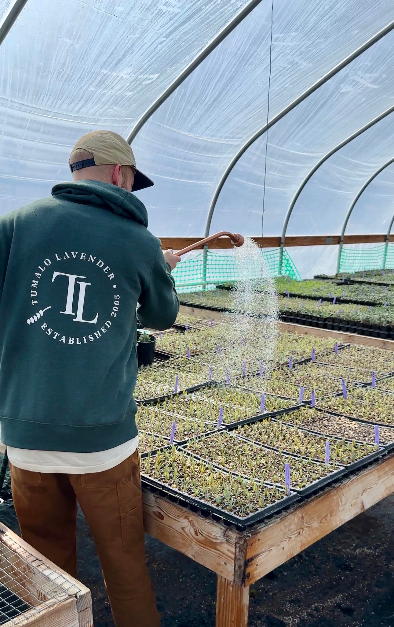 Tumalo Lavender Sweatshirt