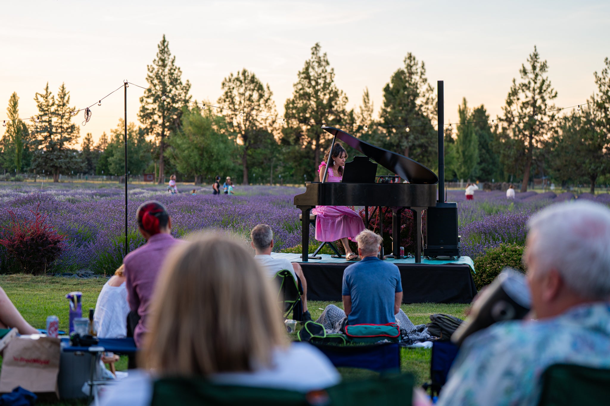 Piano_Flow_At_Tumalo_Lavender_JRG-09391.jpg