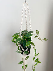 Macrame Workshop - May 2nd