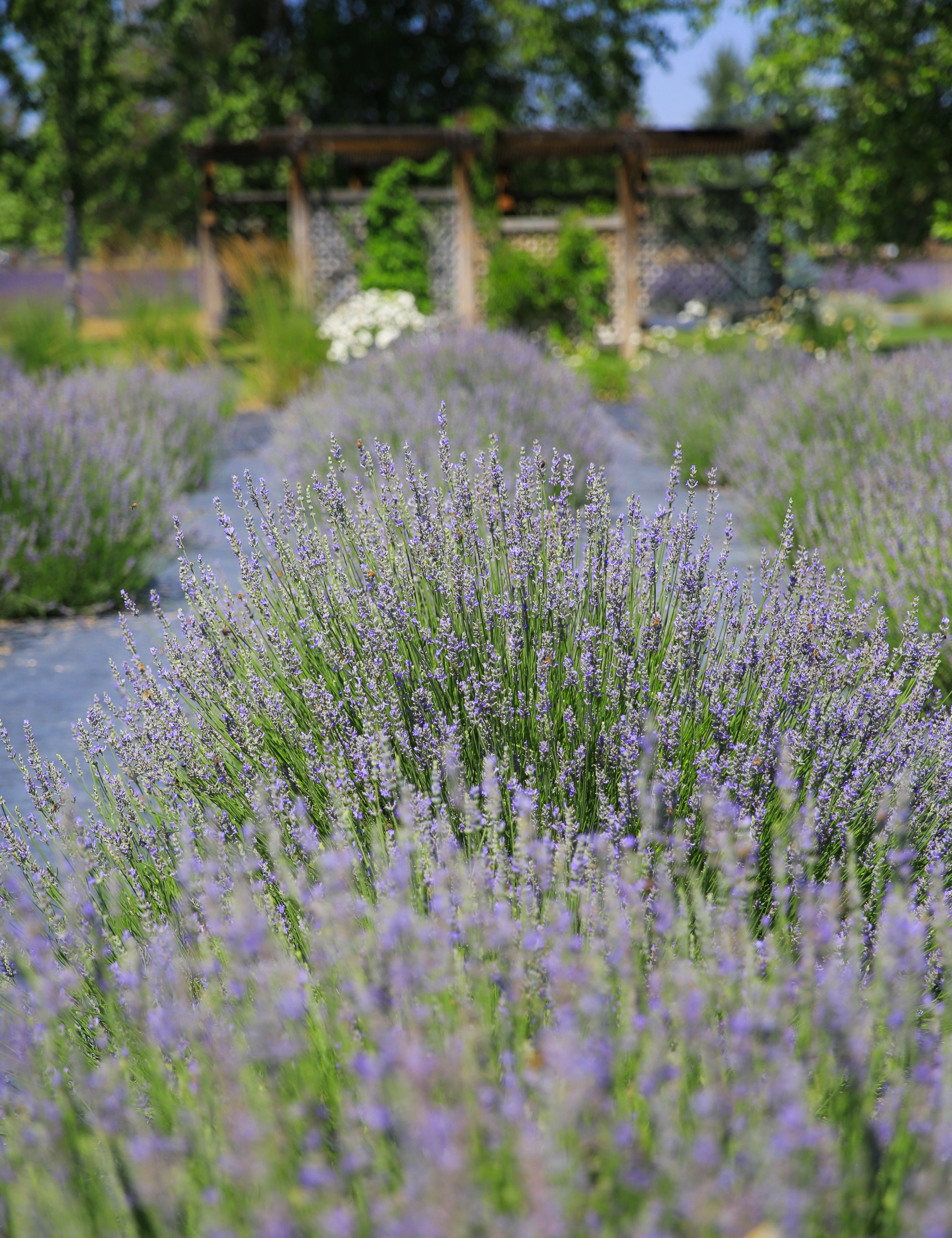 Provence_05.jpg
