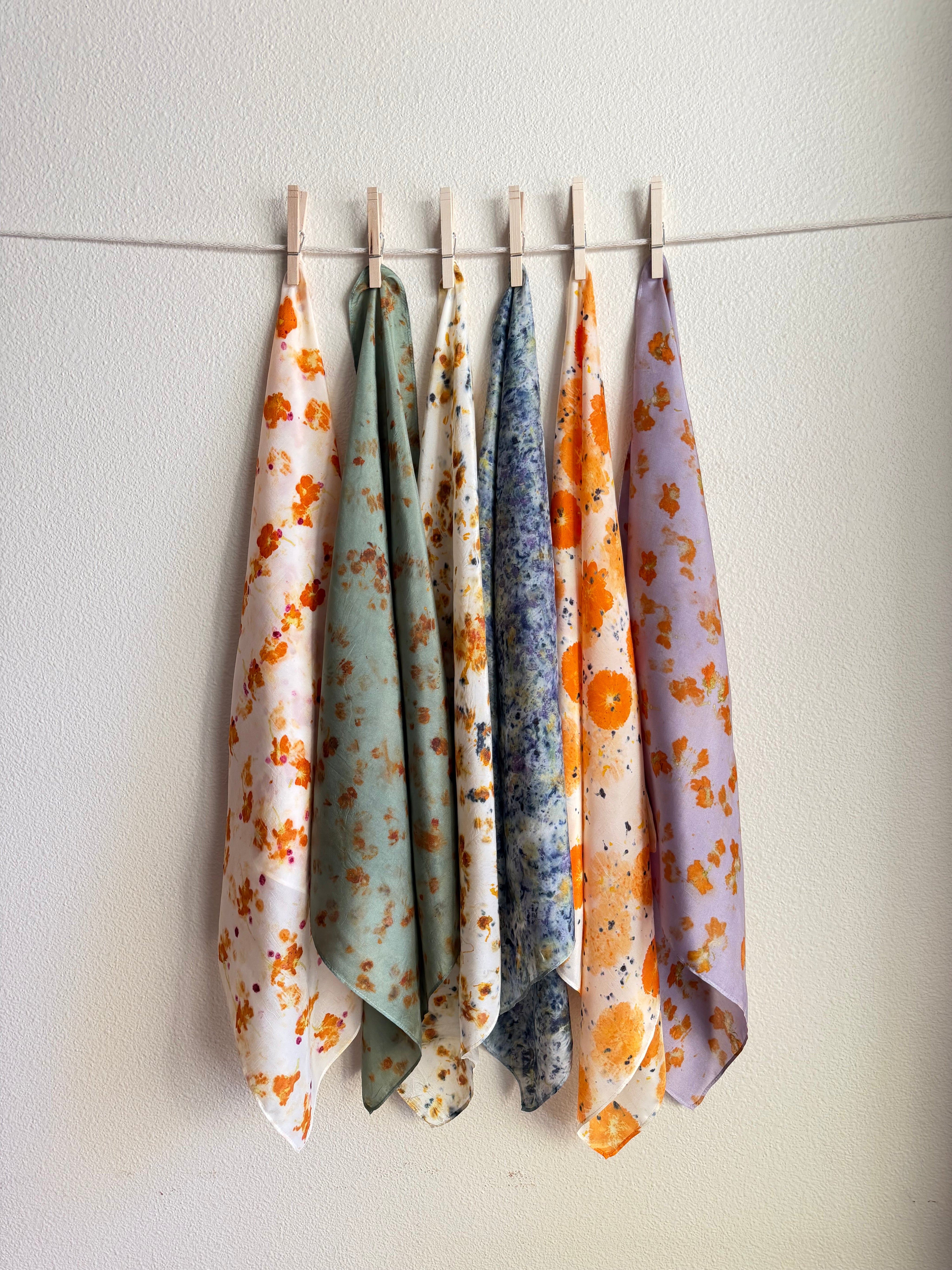 Botanical Dye Workshop
