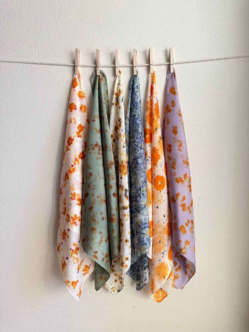 Botanical Dye Workshop